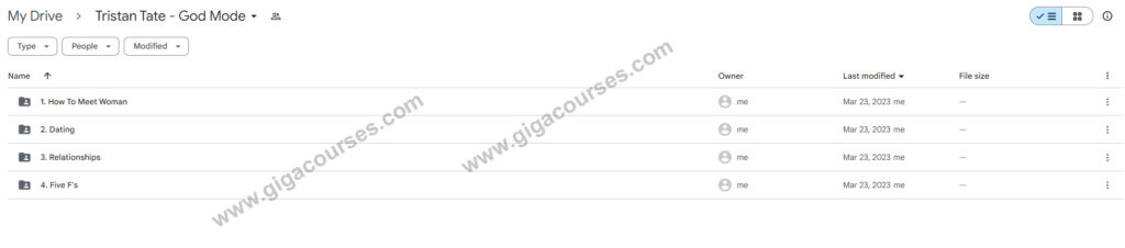 Tristan Tate - God Mode