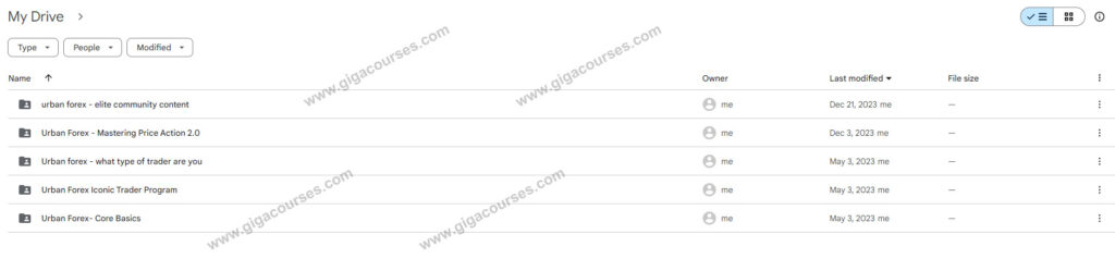 Urban Forex Bundle (5 Courses)