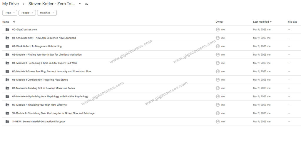 Steven Kotler - Zero To Dangerous