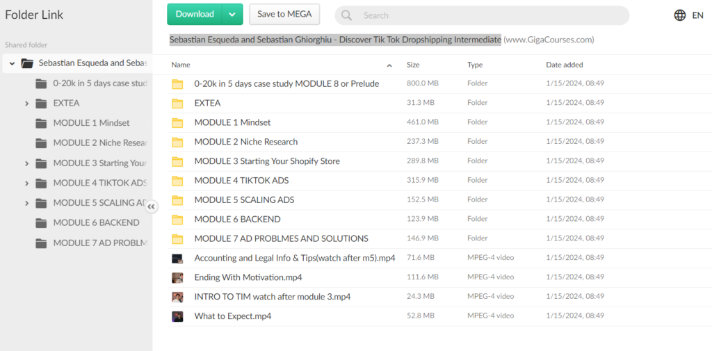 Sebastian Esqueda and Sebastian Ghiorghiu - Discover Tik Tok Dropshipping Intermediate