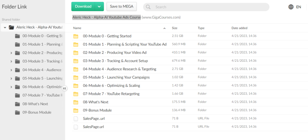 Aleric Heck - Alpha-AI Youtube Ads Course