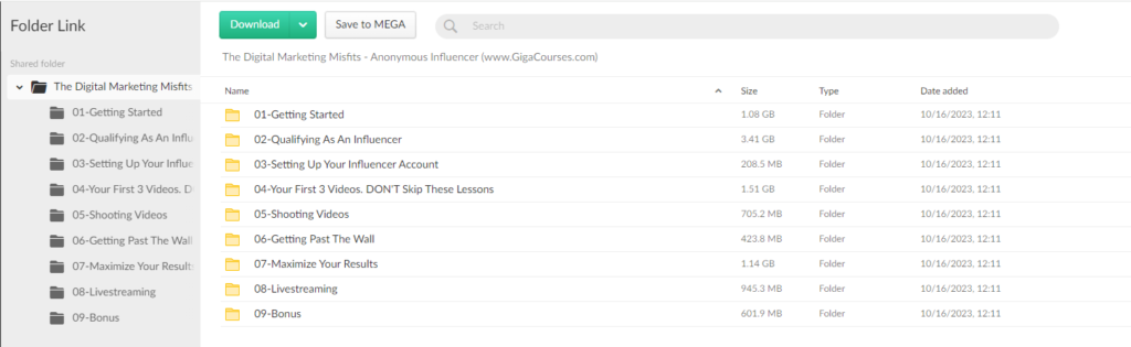 The Digital Marketing Misfits - Anonymous Influencer