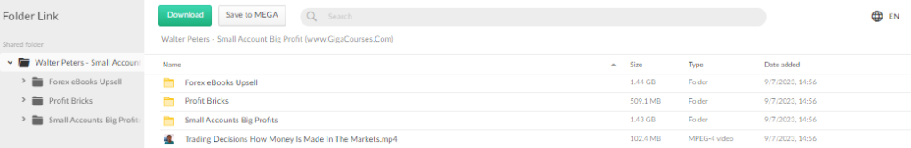 Walter Peters - Small Account Big Profit 