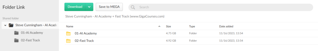 Steve Cunningham - AI Academy + Fast Track 