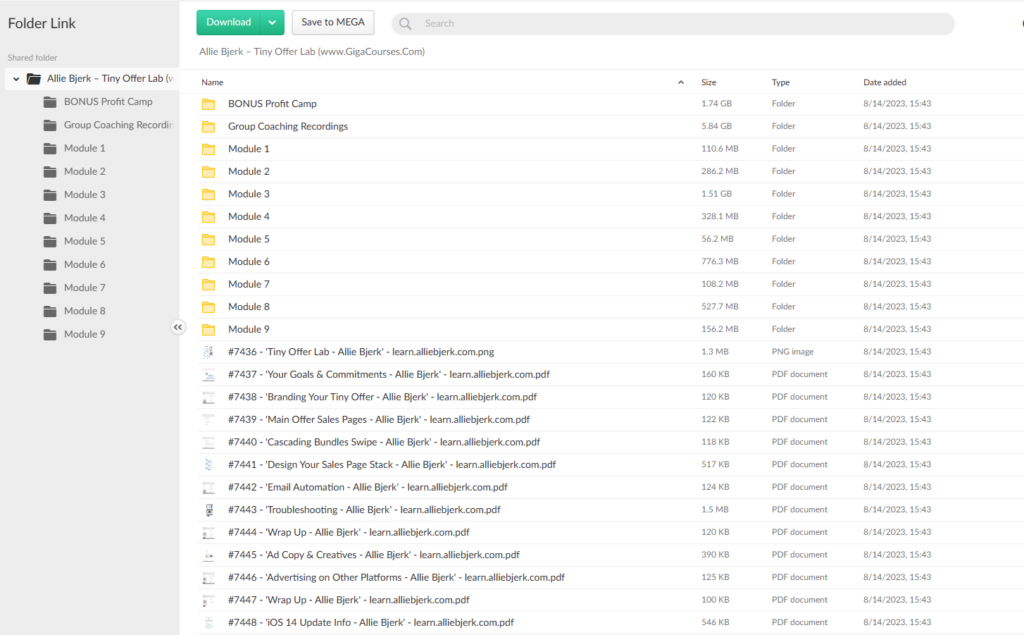 Allie Bjerk – Tiny Offer Lab