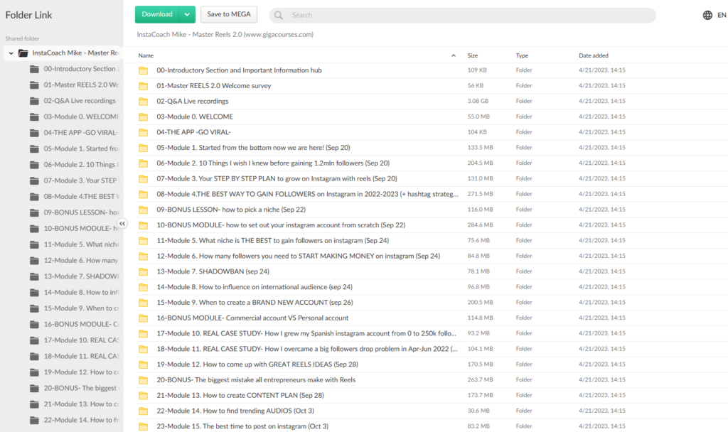 InstaCoach Mike - Master Reels 2.0