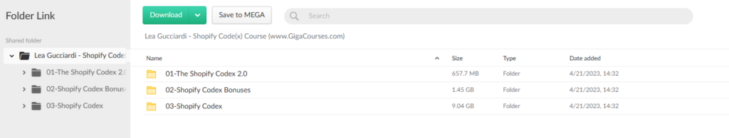 Lea Gucciardi - Shopify Code(x) Course