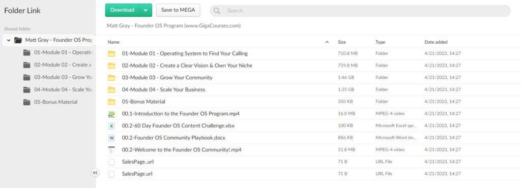 Matt Gray - Founder OS Program