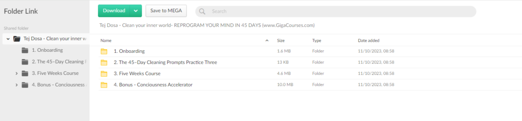 Tej Dosa - Clean your inner world- REPROGRAM YOUR MIND IN 45 DAYS