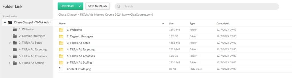 Chase Chappel - TikTok Ads Mastery Course 2024 