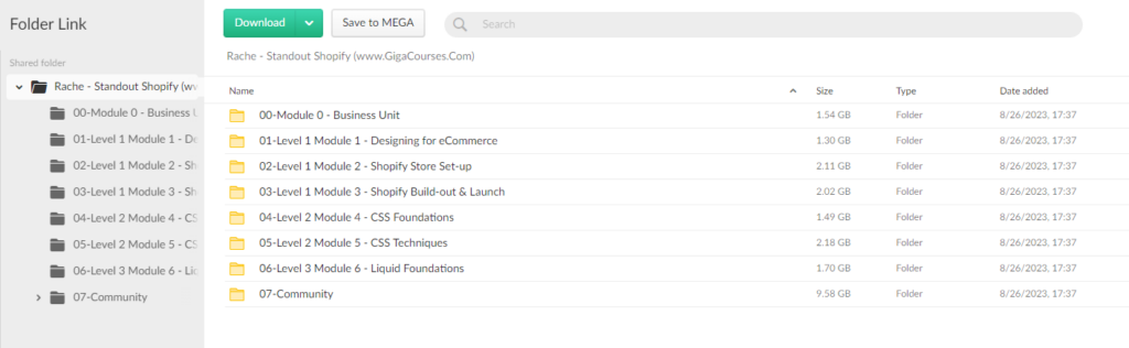 Rache - Standout Shopify