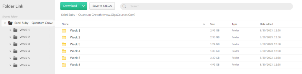 Sabri Suby – Quantum Growth