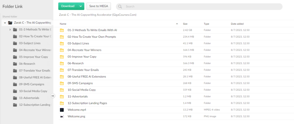 Zarak C - The AI Copywriting Accelerator