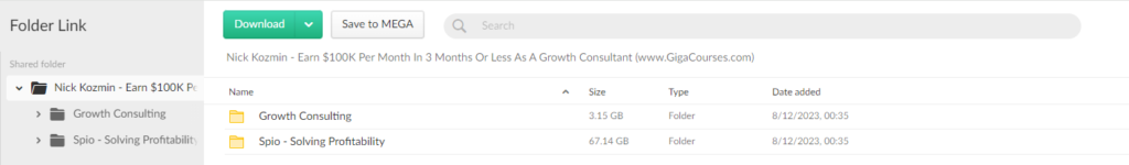 Nick Kozmin - Earn $100K Per Month In 3 Months Or Less As A Growth Consultant