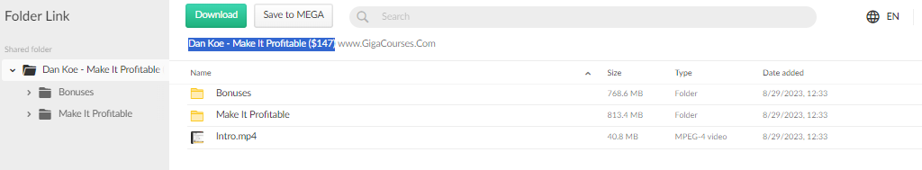 Dan Koe - Make It Profitable