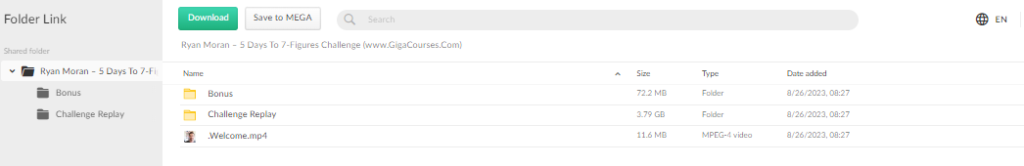 Ryan Moran – 5 Days To 7-Figures Challenge