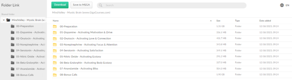MindValley - Mystic Brain
