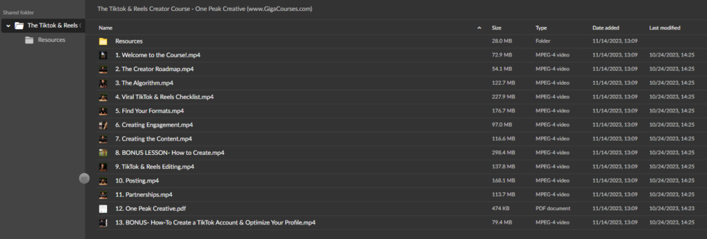 The Tiktok & Reels Creator Course - One Peak Creative
