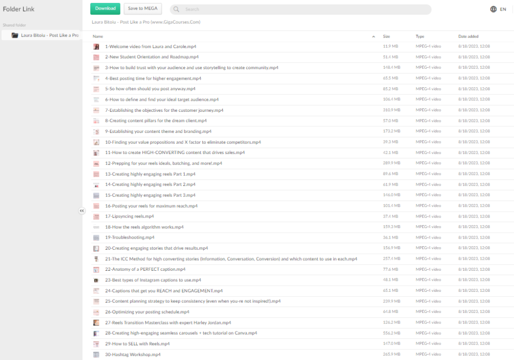 Laura Bitoiu - Post Like a Pro