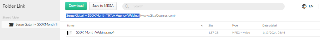 Serge Gatari – $50KMonth TikTok Agency Webinar