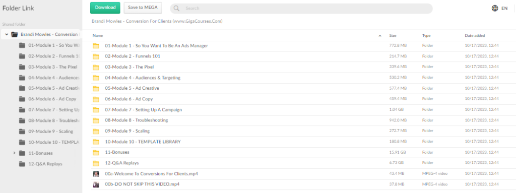 Brandi Mowles - Conversion For Clients