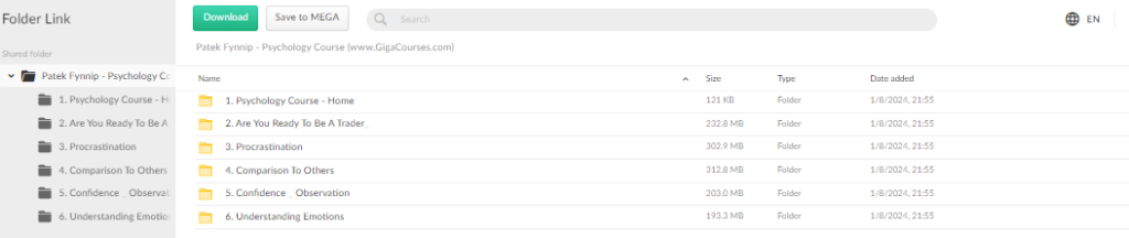 Patek Fynnip - Psychology Course