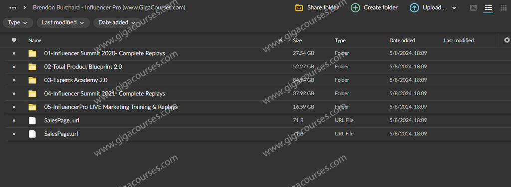 Brendon Burchard - Influencer Pro