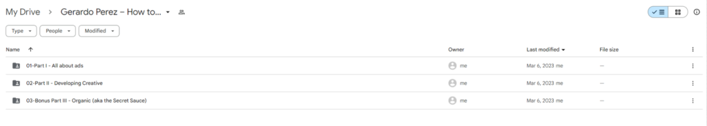 Gerardo Perez - How to Run TikTok Ads by Foundr