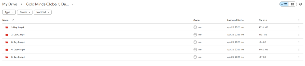 Gold Minds Global 5 Day Program