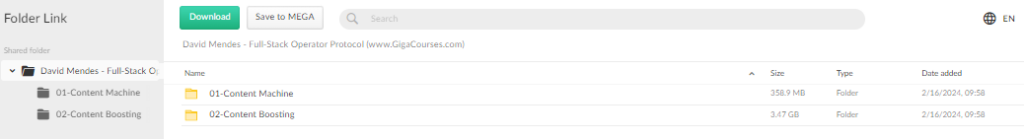 David Mendes - Full-Stack Operator Protocol