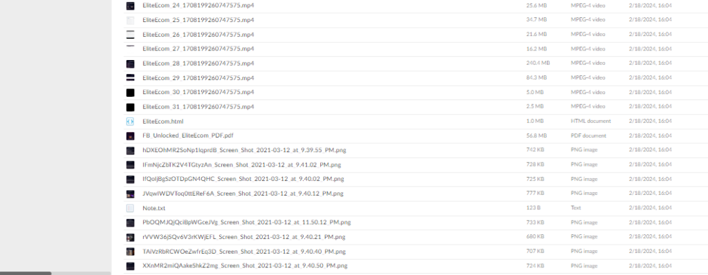Elite Ecom Academy – Facebook Unlocked Blueprint