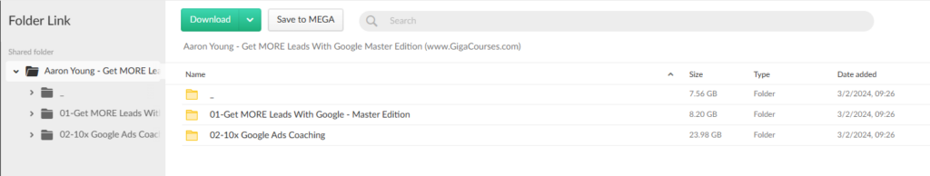 Aaron Young - Get MORE Leads With Google Master Edition 