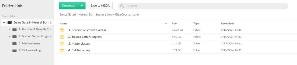 Serge Gatari - Natural Born Leaders