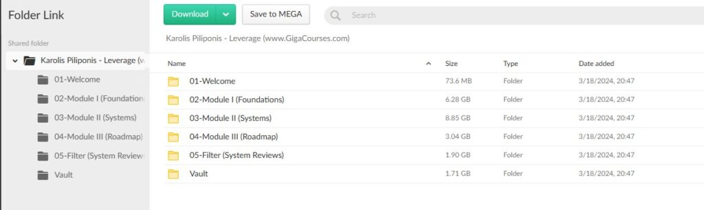 Karolis Piliponis - Leverage