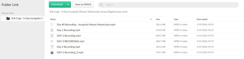 Erik Cagi - 5-Day Incognito Money Masterclass