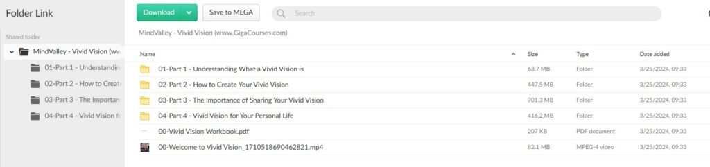 MindValley - Vivid Vision