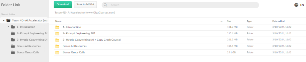 Tyson 4D- AI Accelerator