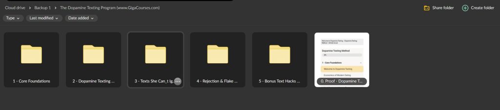 The Dopamine Texting Program