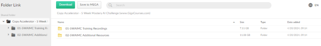 Copy Accelerator - 5 Week Mastery AI Challenge