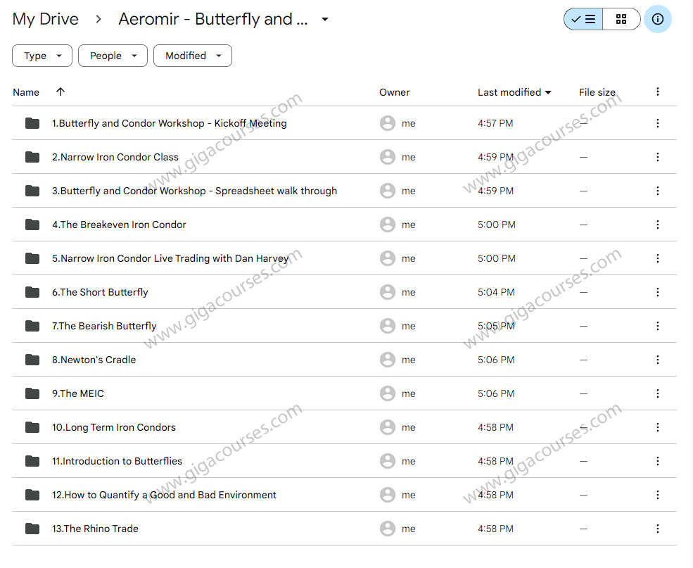 Aeromir - Butterfly and Condor Workshop