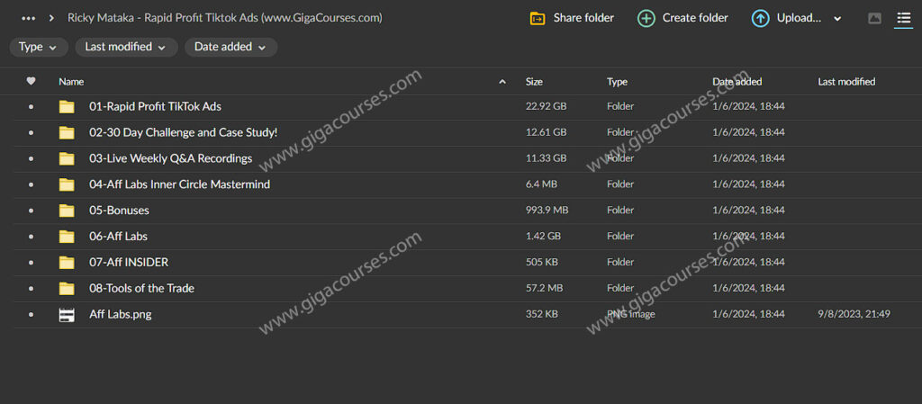 Ricky Mataka - Rapid Profit Tiktok Ads