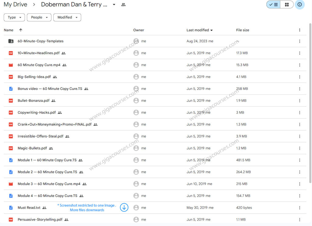 Doberman Dan & Terry Dean - 60 Minute Copy Cure
