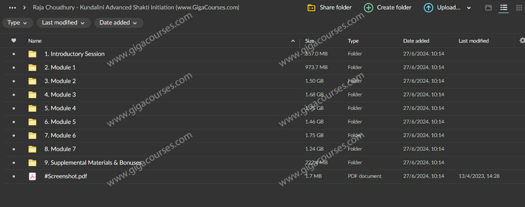 Raja Choudhury - Kundalini Advanced Shakti Initiation
