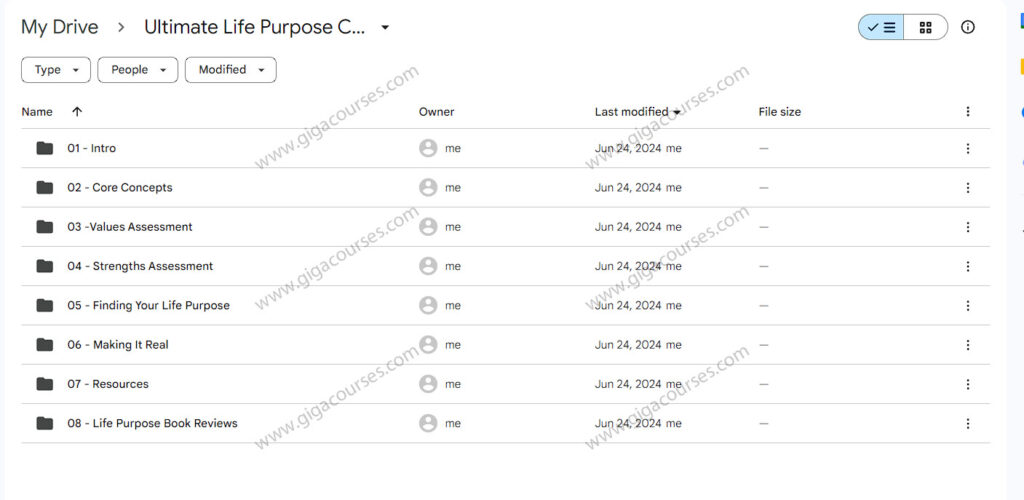 Ultimate Life Purpose Course - Leo Gura