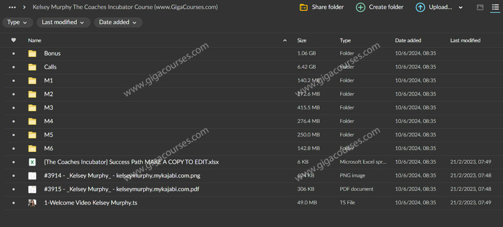 The Coaches Incubator - Kelsey Murphy