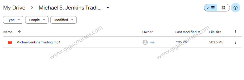 Michael S. Jenkins Trading Video