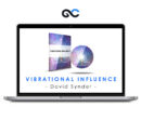 David Synder - Vibrational Influence