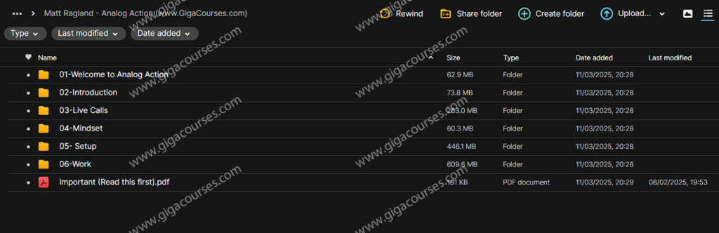 Matt Ragland - Analog Action