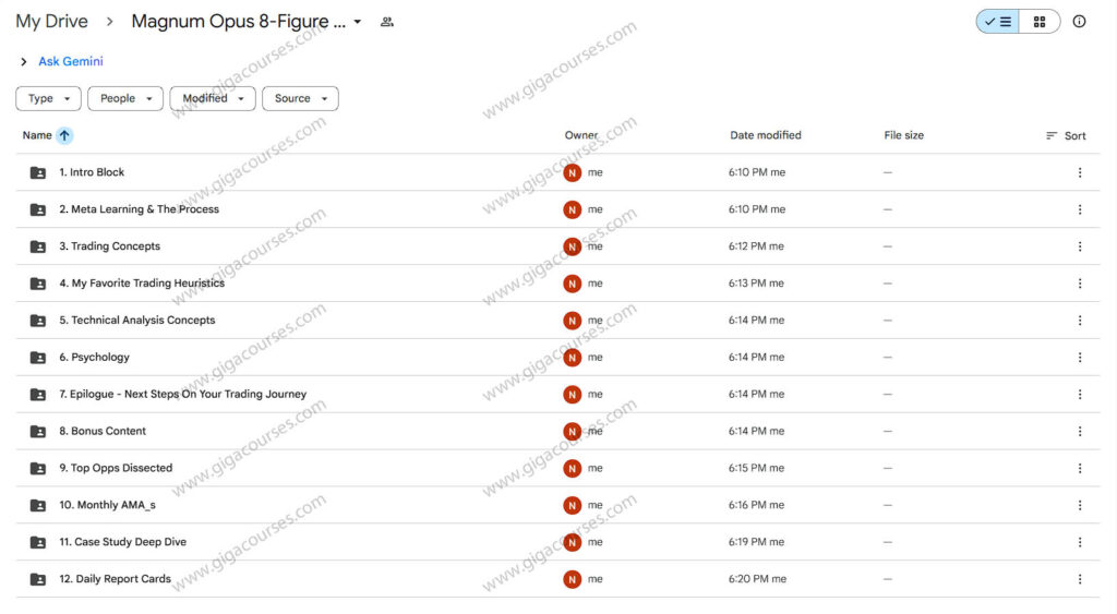 Magnum Opus 8-Figure year Lance Bernstein Trader Course