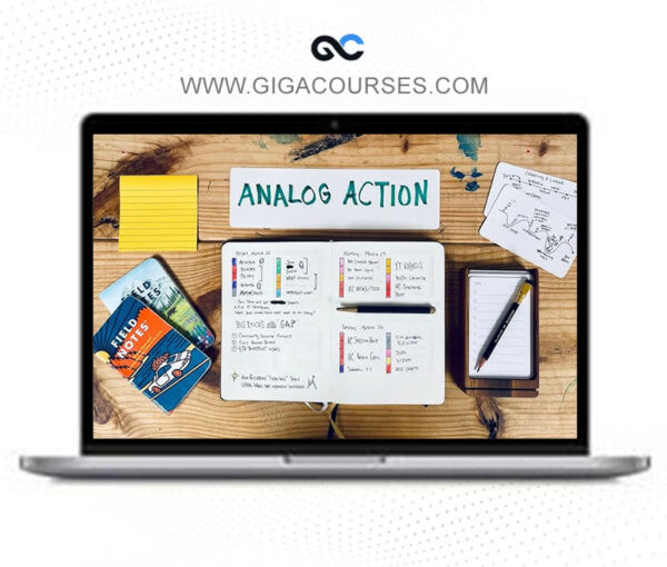 Matt Ragland - Analog Action